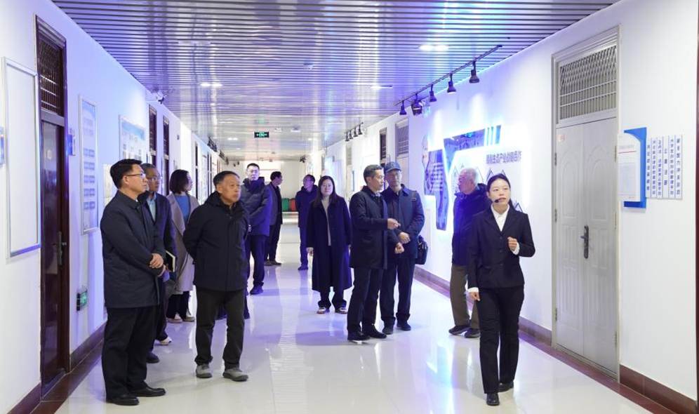 QQ图片20251127151045